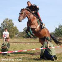 webDSC_1024.jpg